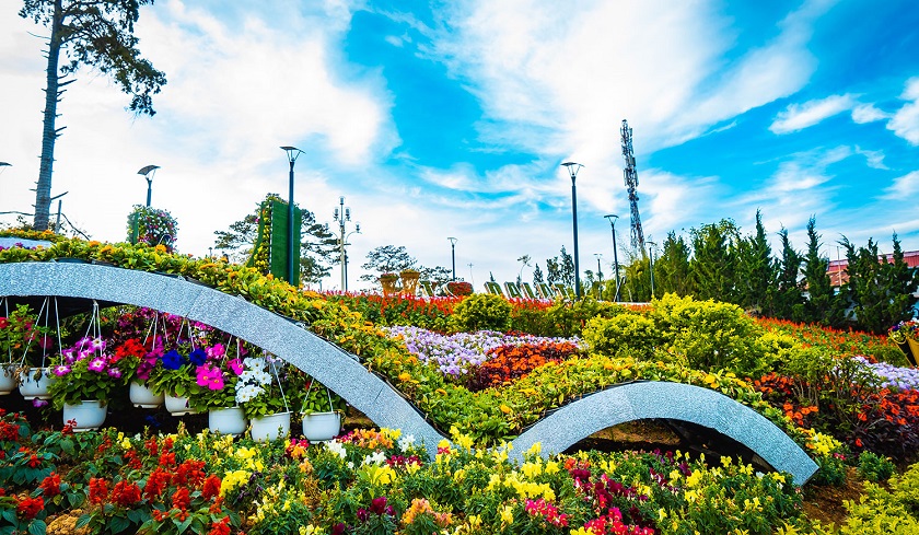 Festival international des fleurs les couleurs de fleurs brilleront à Quang Binh